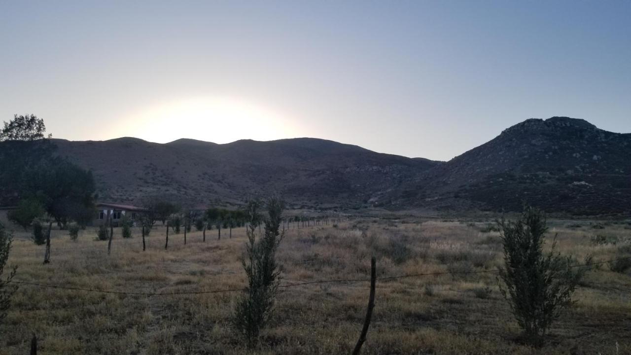 إنسينادا Cabanas Los Laureles Ruta Del Vino Bc المظهر الخارجي الصورة